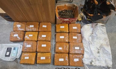 Polda Metro Jaya Berhasil Gagalkan Peredaran Narkotika Sita 18,829 Kg Ganja